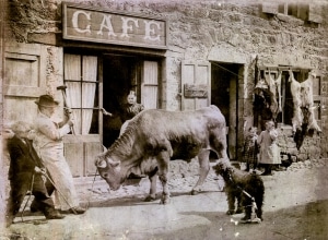 La boucherie Léorat en 1906 - L'abattage devant le 13 Grande Rue (Collection Mireille Baile)
