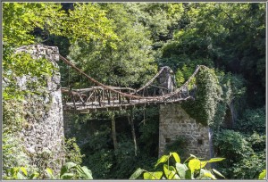 Le pont du Moulin-sur-Cance, en ruines • Photographie André David